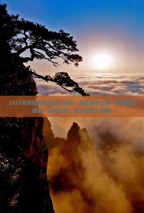 崇左去西安回民街哪里玩