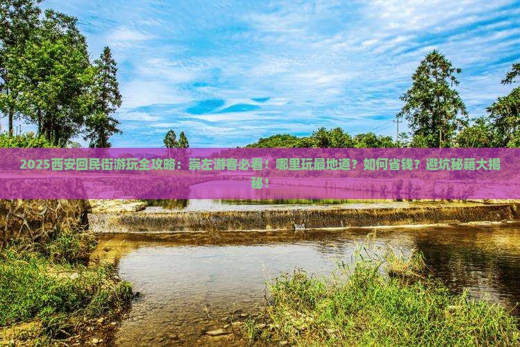 崇左去西安回民街哪里玩