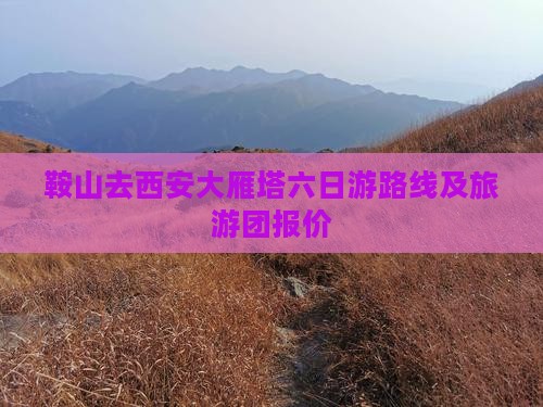 鞍山去西安大雁塔六日游