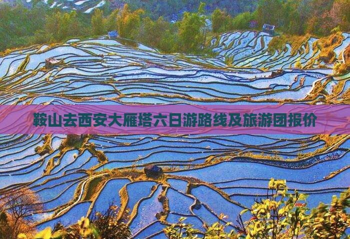 鞍山去西安大雁塔六日游