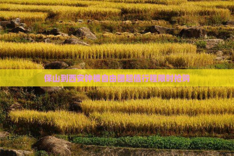 保山到西安钟楼自由团