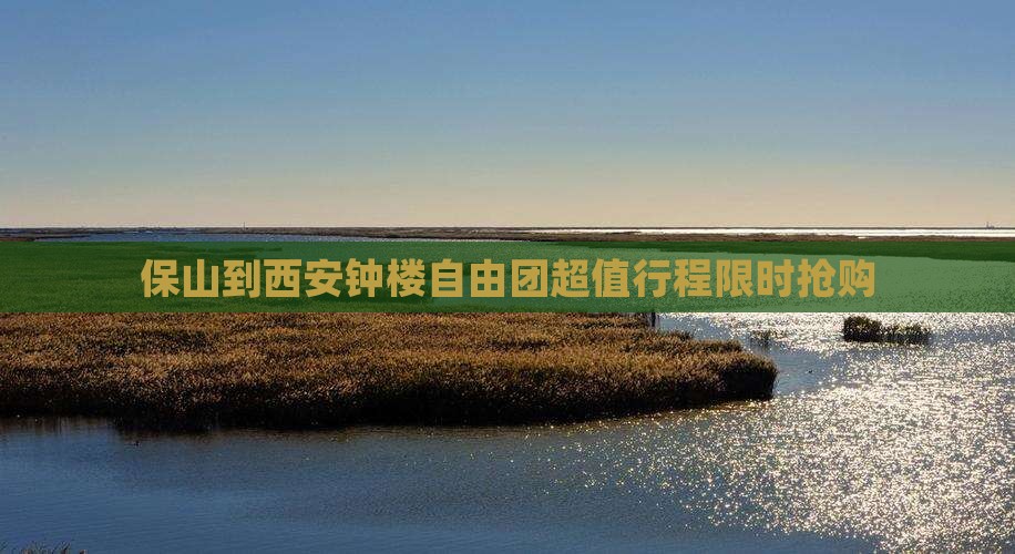 保山到西安钟楼自由团