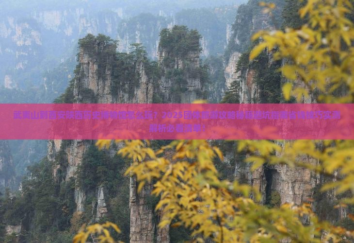 武夷山到西安陕西历史博物馆团体旅游