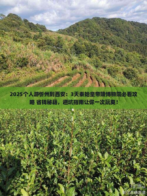 忻州到西安秦始皇帝陵博物院个人游