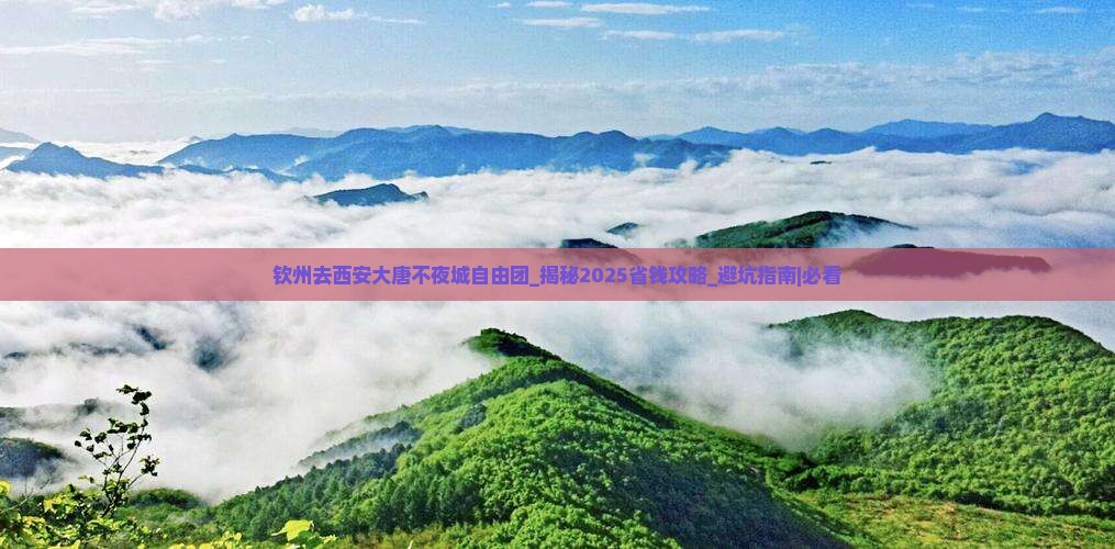 钦州去西安大唐不夜城自由团