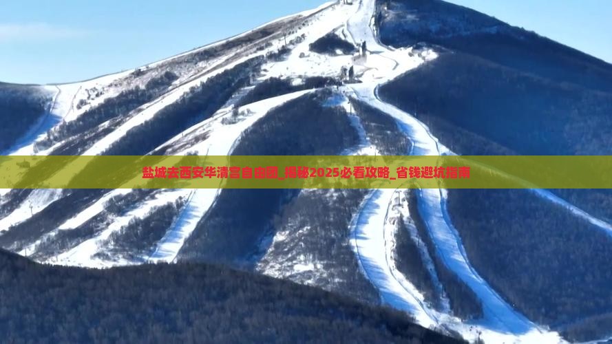 盐城去西安华清宫自由团