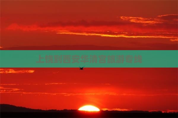 上饶到西安华清宫旅行社