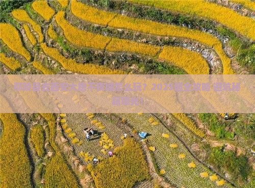 鄢陵县到西安大唐不夜城旅行社