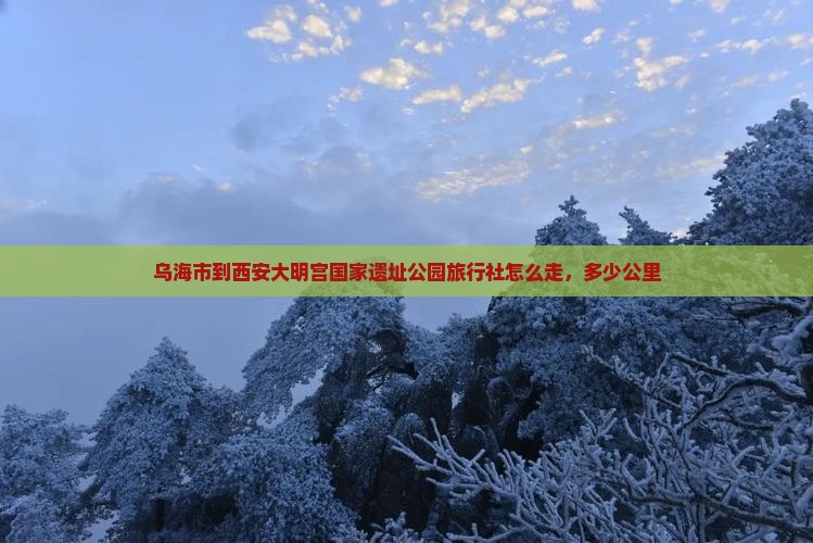 乌海市到西安大明宫国家遗址公园旅行社