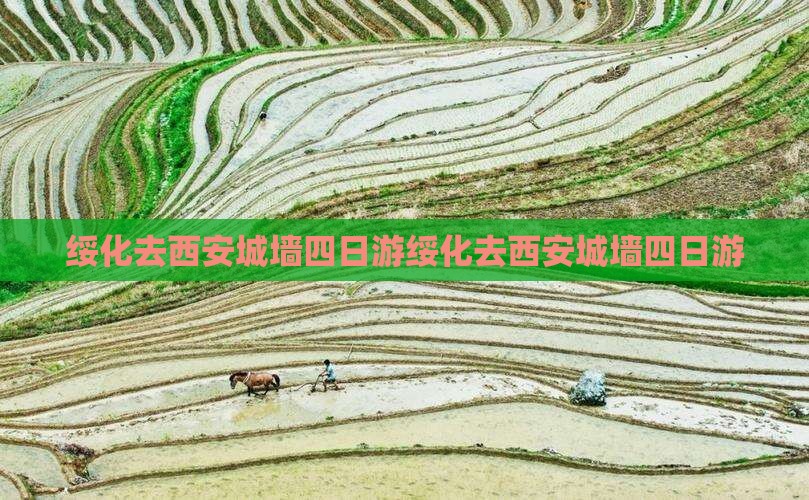 绥化去西安城墙四日游