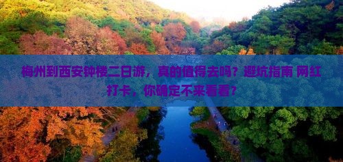 梅州到西安钟楼二日游