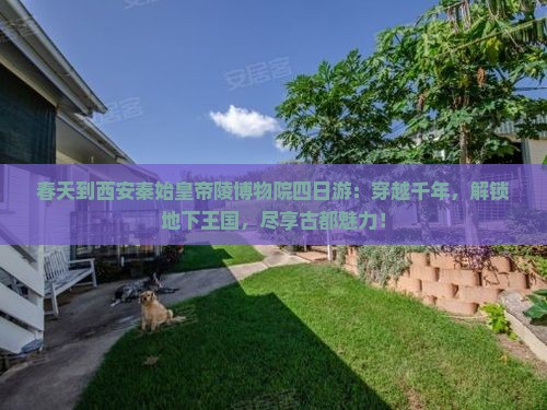 春天到西安秦始皇帝陵博物院四日游