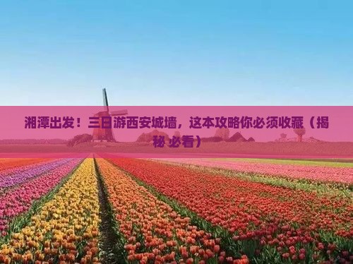 湘潭去西安城墙三日游