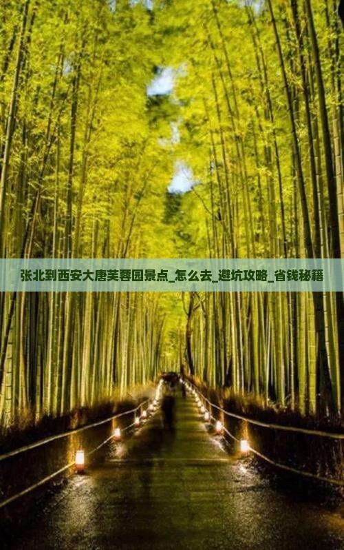 张北到西安大唐芙蓉园景点