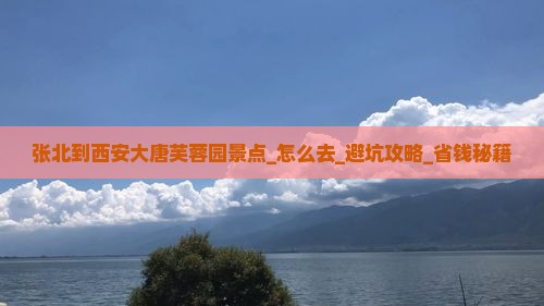 张北到西安大唐芙蓉园景点