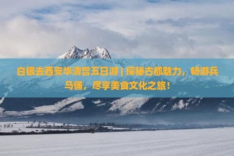 白银去西安华清宫五日游