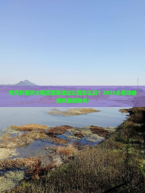 南充到西安大明宫国家遗址公园旅游