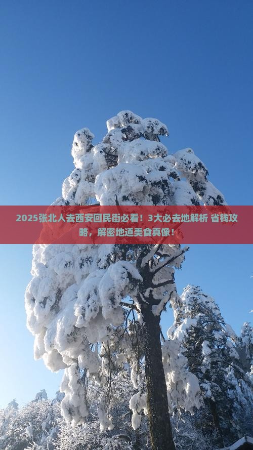 张北到西安回民街必去地