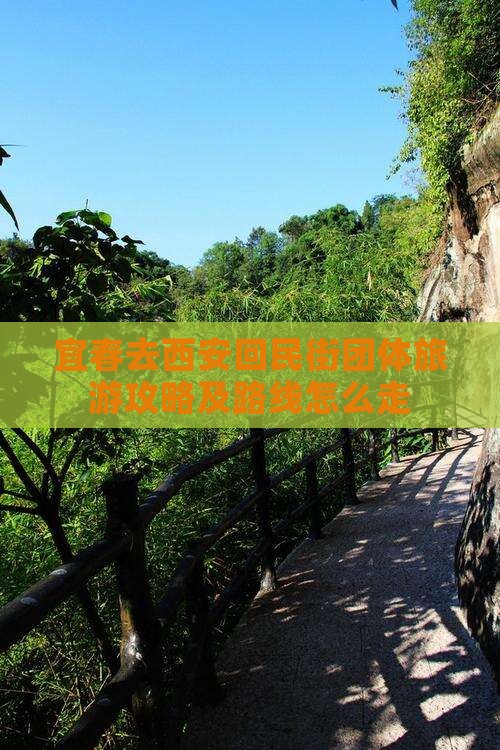 宜春去西安回民街团体旅游