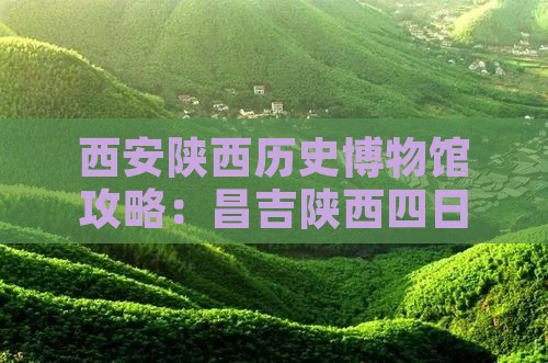 昌吉去西安陕西历史博物馆四日游
