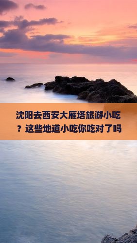 沈阳去西安大雁塔旅游小吃