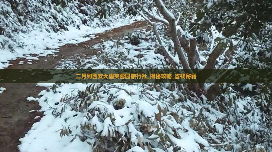 二月到西安大唐芙蓉园旅行社