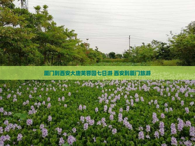 厦门到西安大唐芙蓉园七日游