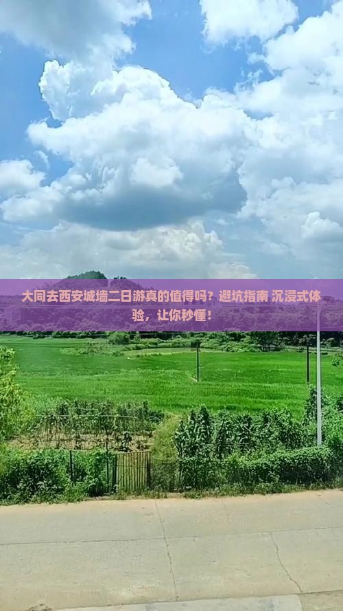 大同去西安城墙二日游