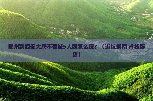 随州到西安大唐不夜城团体旅游