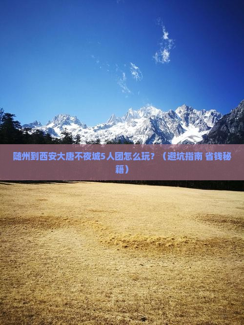 随州到西安大唐不夜城团体旅游