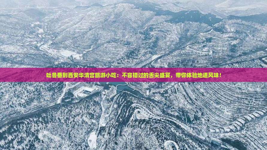 吐鲁番到西安华清宫旅游小吃