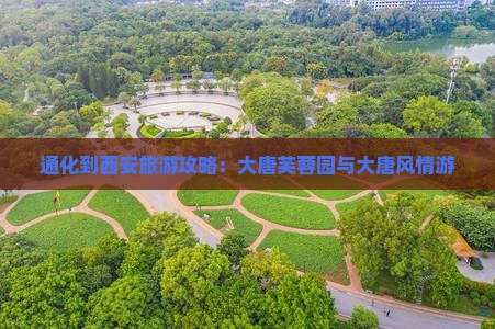 通化到西安大唐芙蓉园旅行社