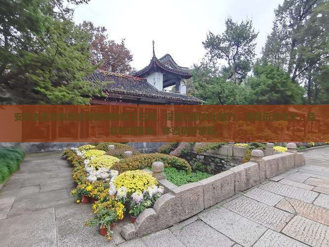 安庆去西安秦始皇帝陵博物院三日游