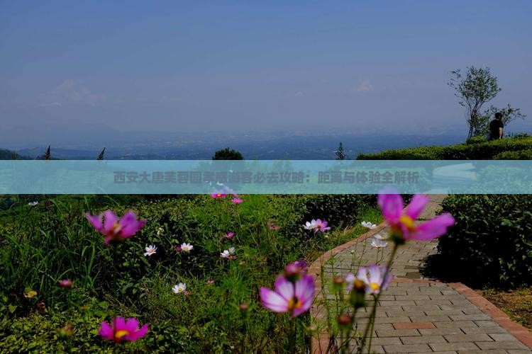 孝感到西安大唐芙蓉园必去地