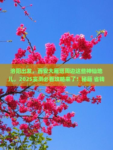 洛阳到西安大雁塔必去地