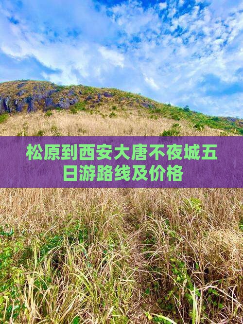 松原到西安大唐不夜城五日游