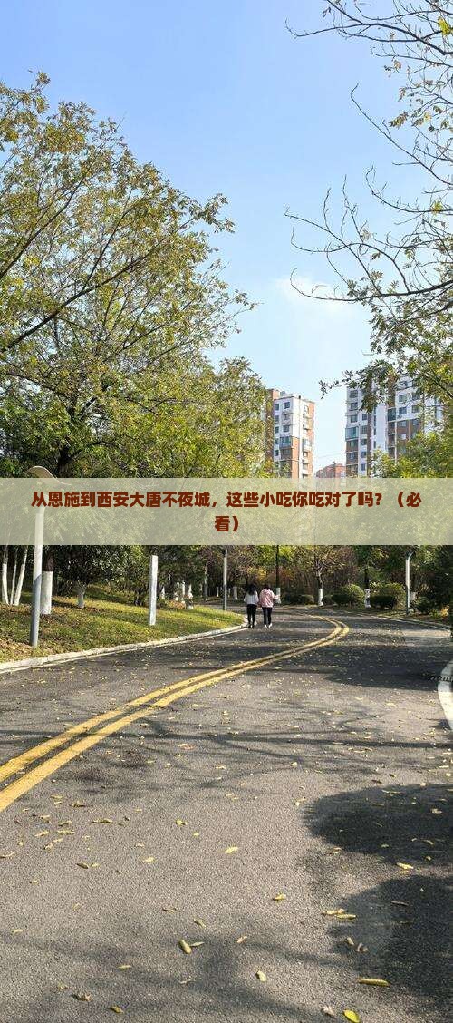 恩施到西安大唐不夜城旅游小吃