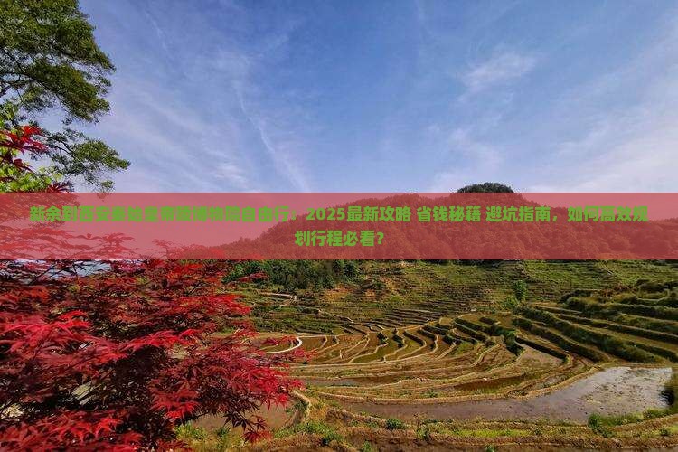 新余到西安秦始皇帝陵博物院自由行