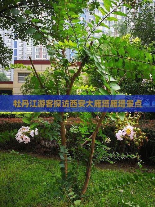 牡丹江去西安大雁塔景点