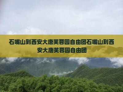 石嘴山到西安大唐芙蓉园自由团