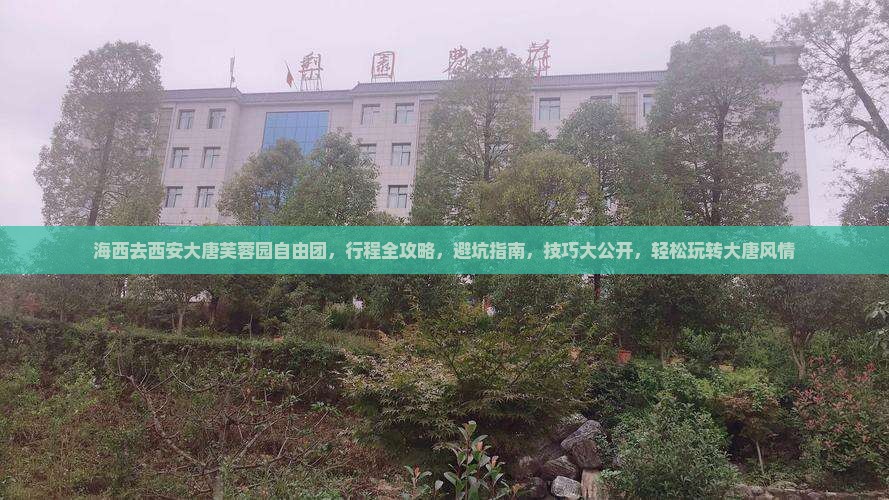 海西去西安大唐芙蓉园自由团