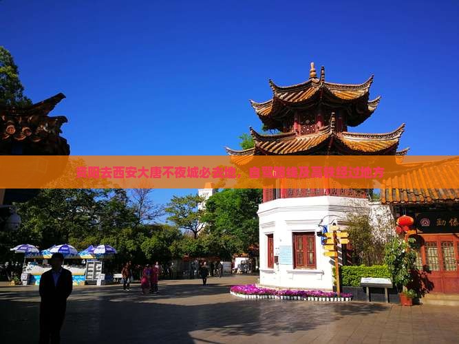 资阳去西安大唐不夜城必去地