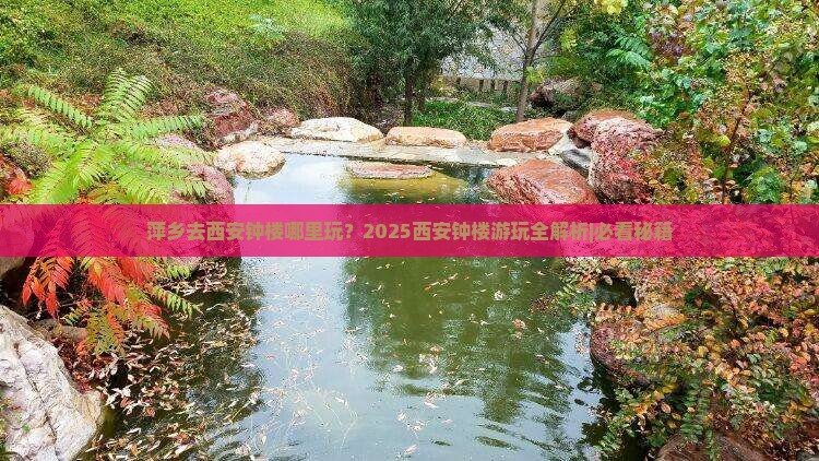 萍乡去西安钟楼哪里玩