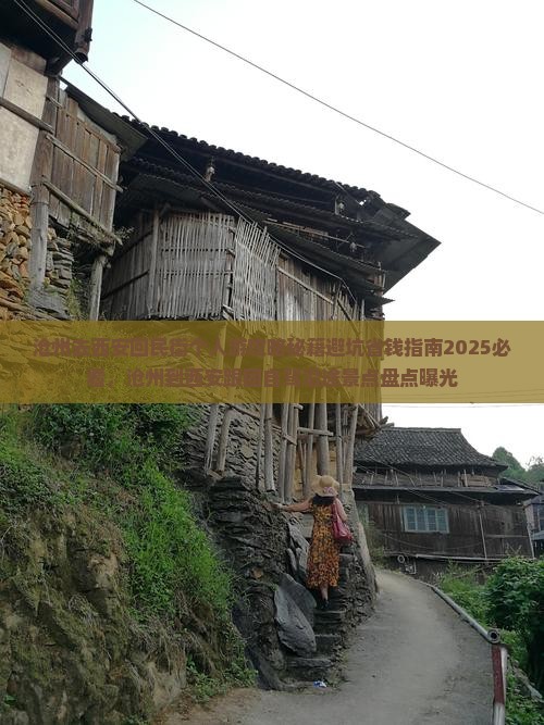 沧州去西安回民街个人游