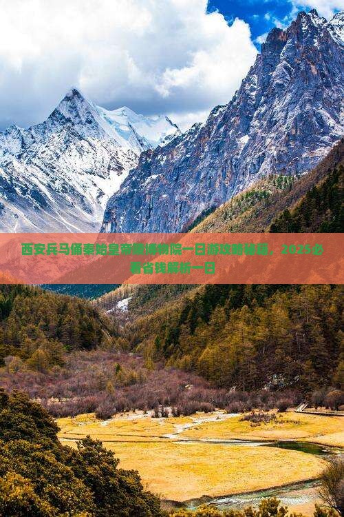 丽水到西安秦始皇帝陵博物院团体旅游