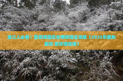 潜江去西安陕西历史博物馆旅游