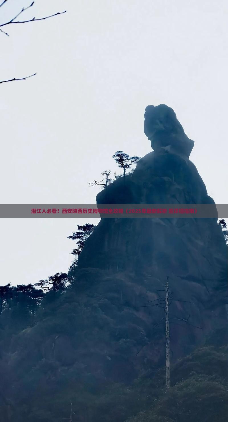 潜江去西安陕西历史博物馆旅游