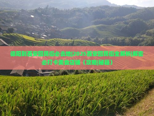 德阳到西安回民街必去地