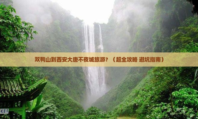 双鸭山去西安大唐不夜城旅行社
