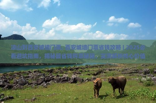 凉山到西安城墙门票